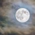 Woran liegt es, dass uns der Vollmond manchmal emotional aufwühlt?